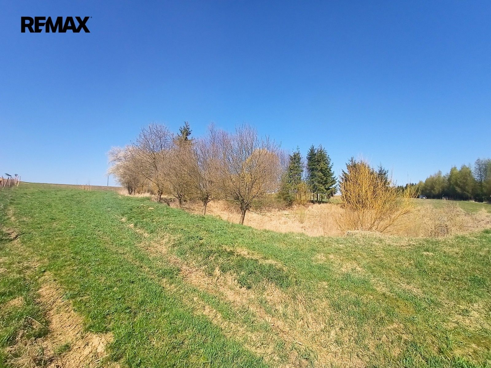 Prodej pozemku 20659 m² - foto 6