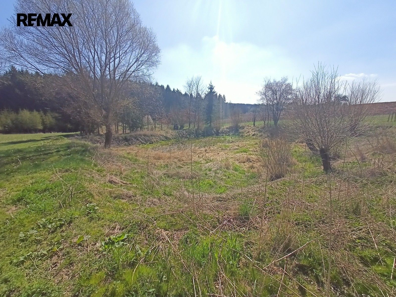 Prodej pozemku 20659 m² - foto 7