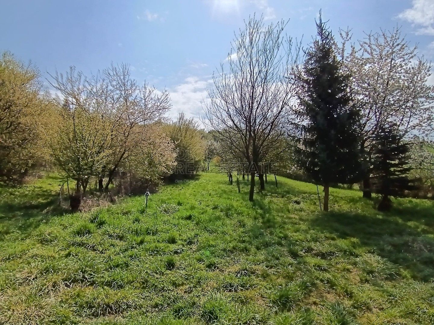 Prodej pozemku 1872 m² - foto 8