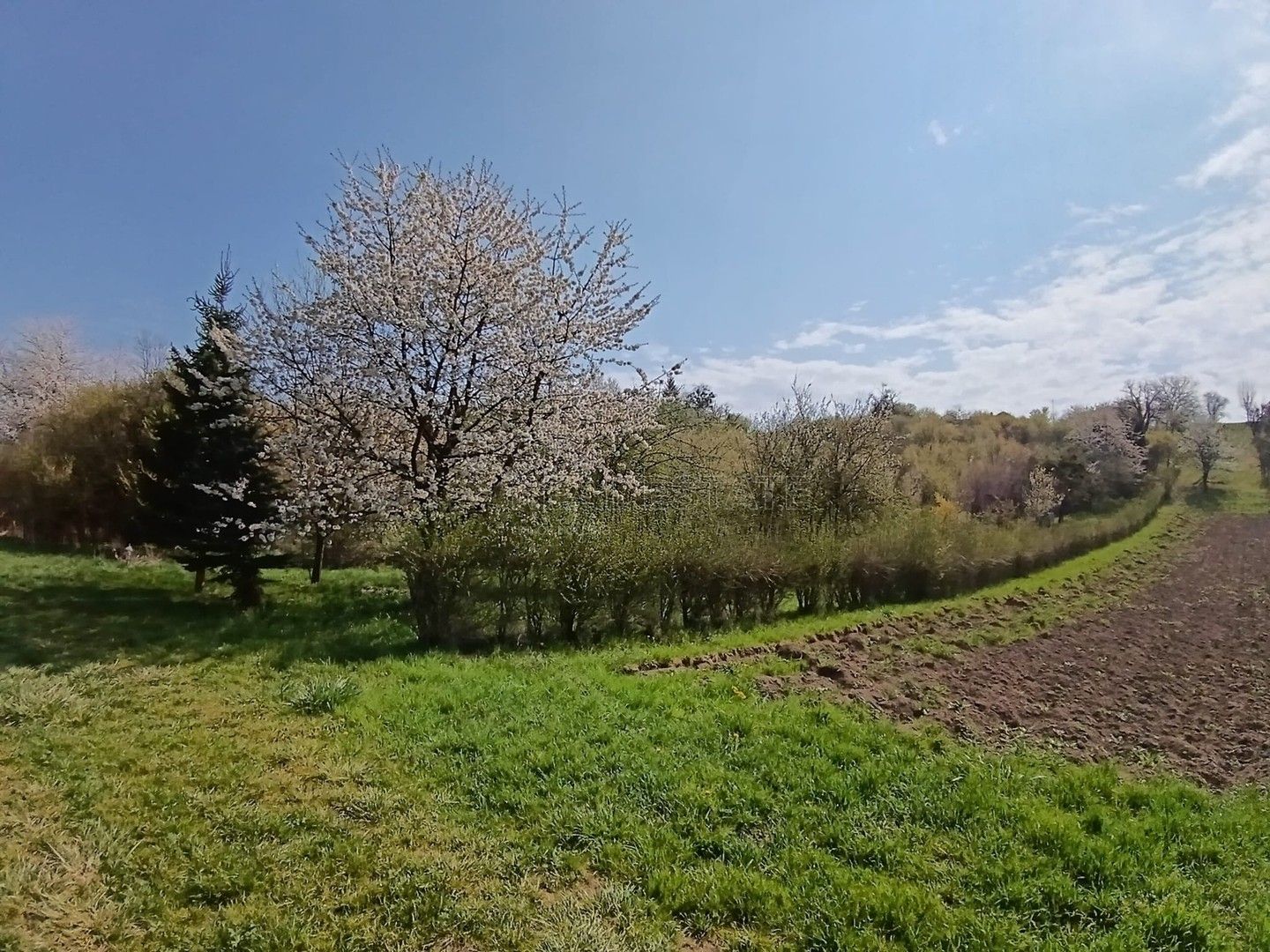 Prodej pozemku 1872 m² - foto 12