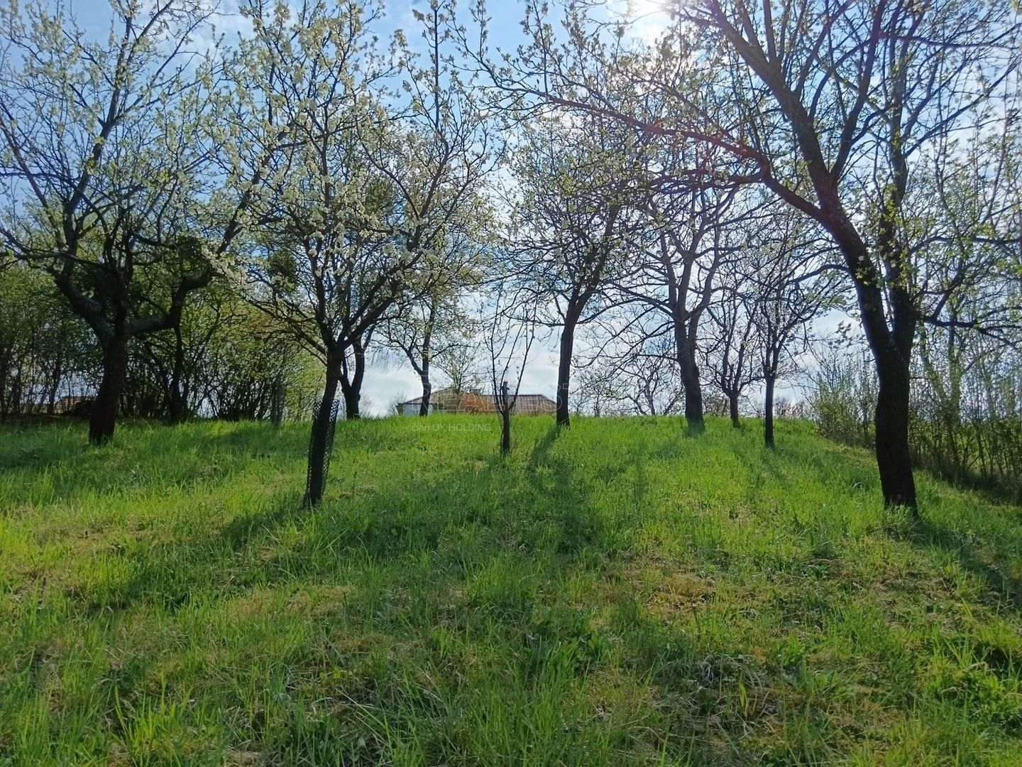 Prodej pozemku 1872 m² - foto 13