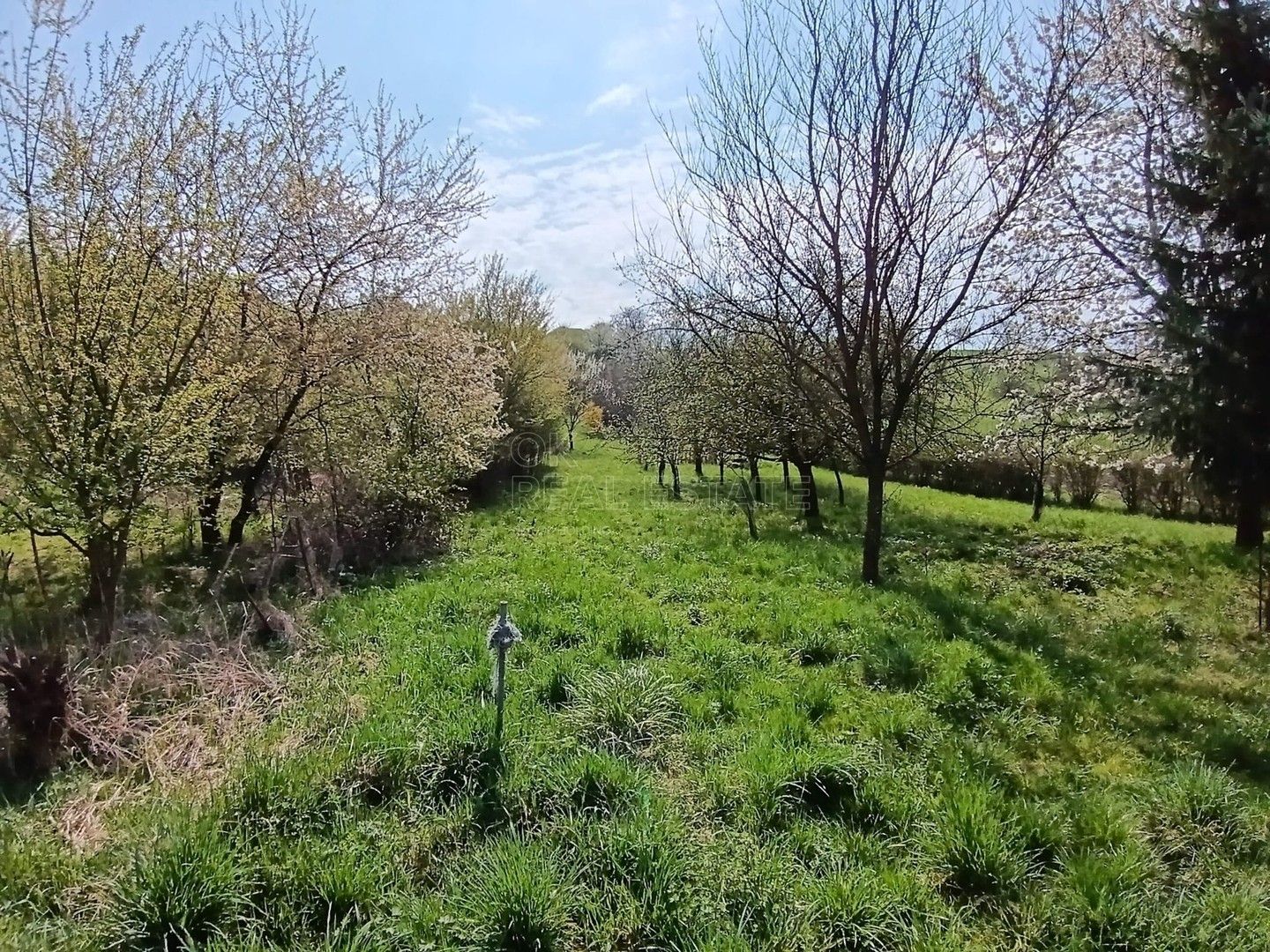 Prodej pozemku 1872 m² - foto 15