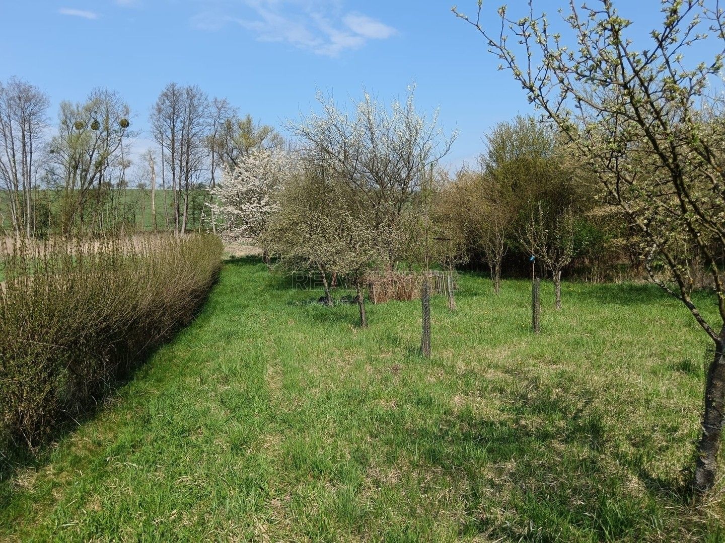 Prodej pozemku 1872 m² - foto 17