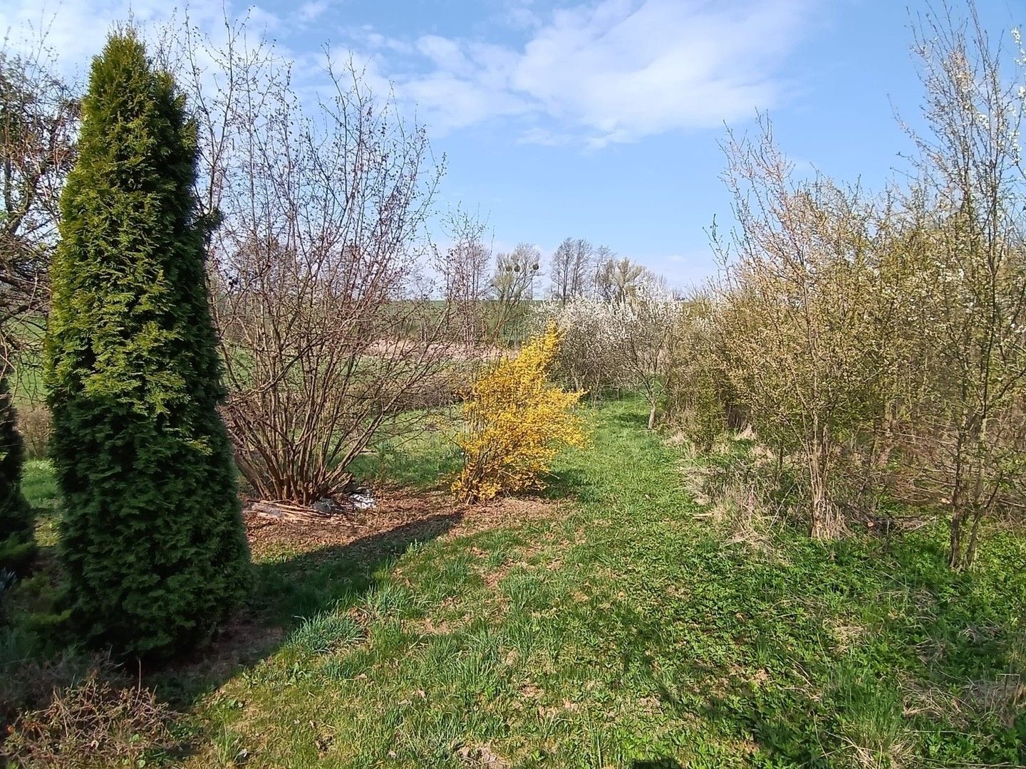 Prodej pozemku 1872 m² - foto 19
