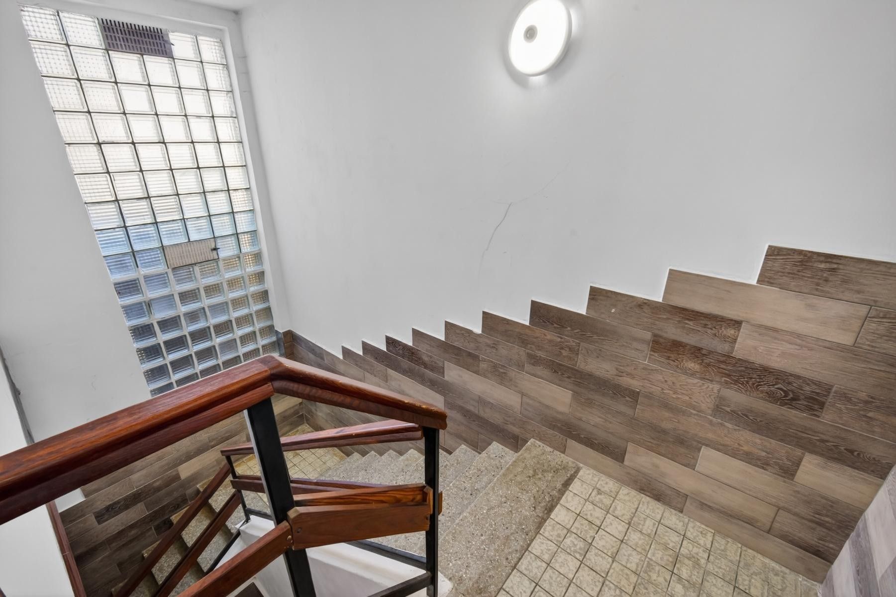 Prodej komerčního prostoru 328 m² - foto 23
