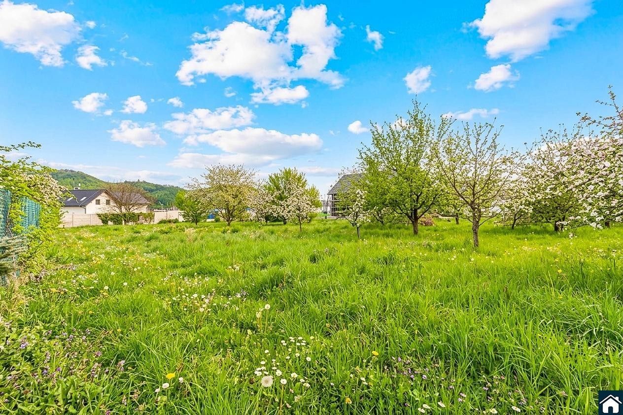Prodej pozemku 1556 m² - foto 10