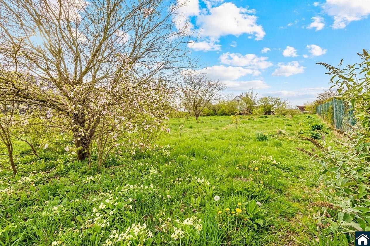 Prodej pozemku 1556 m² - foto 9