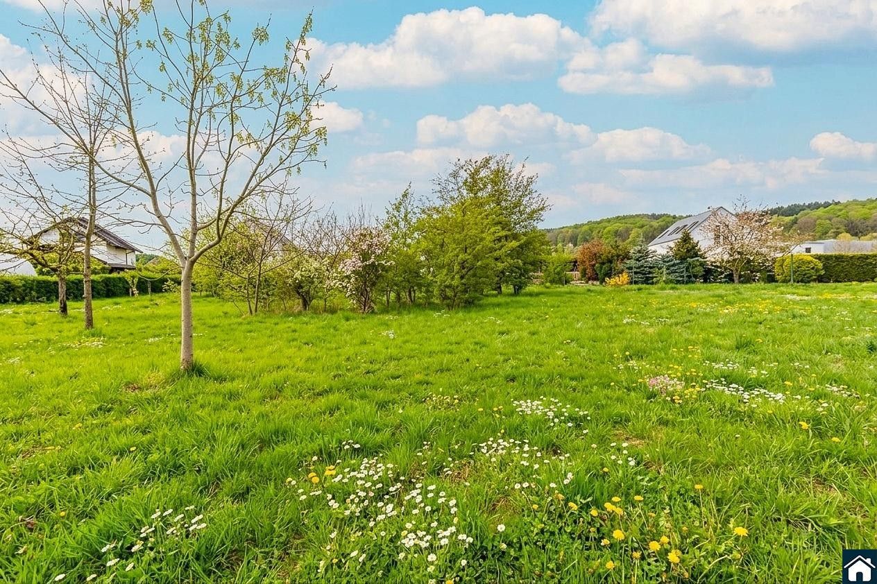 Prodej pozemku 1556 m² - foto 12
