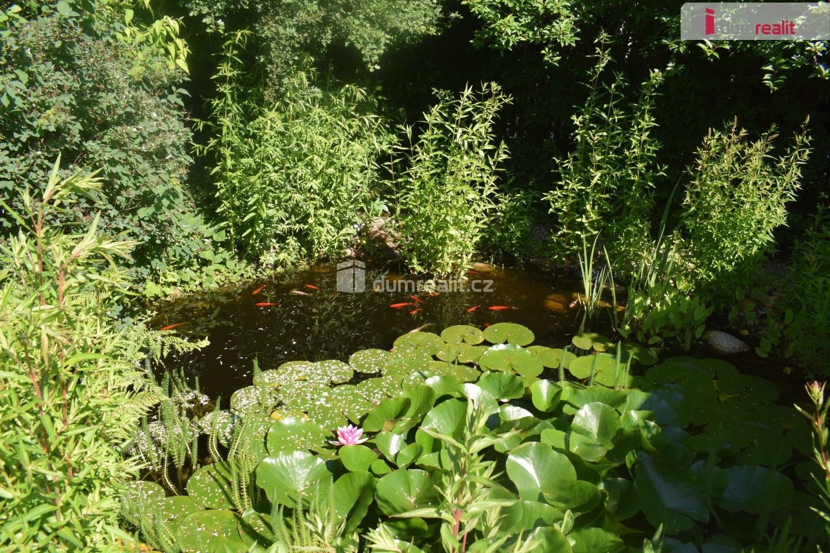 Prodej domu 250 m² - foto 30