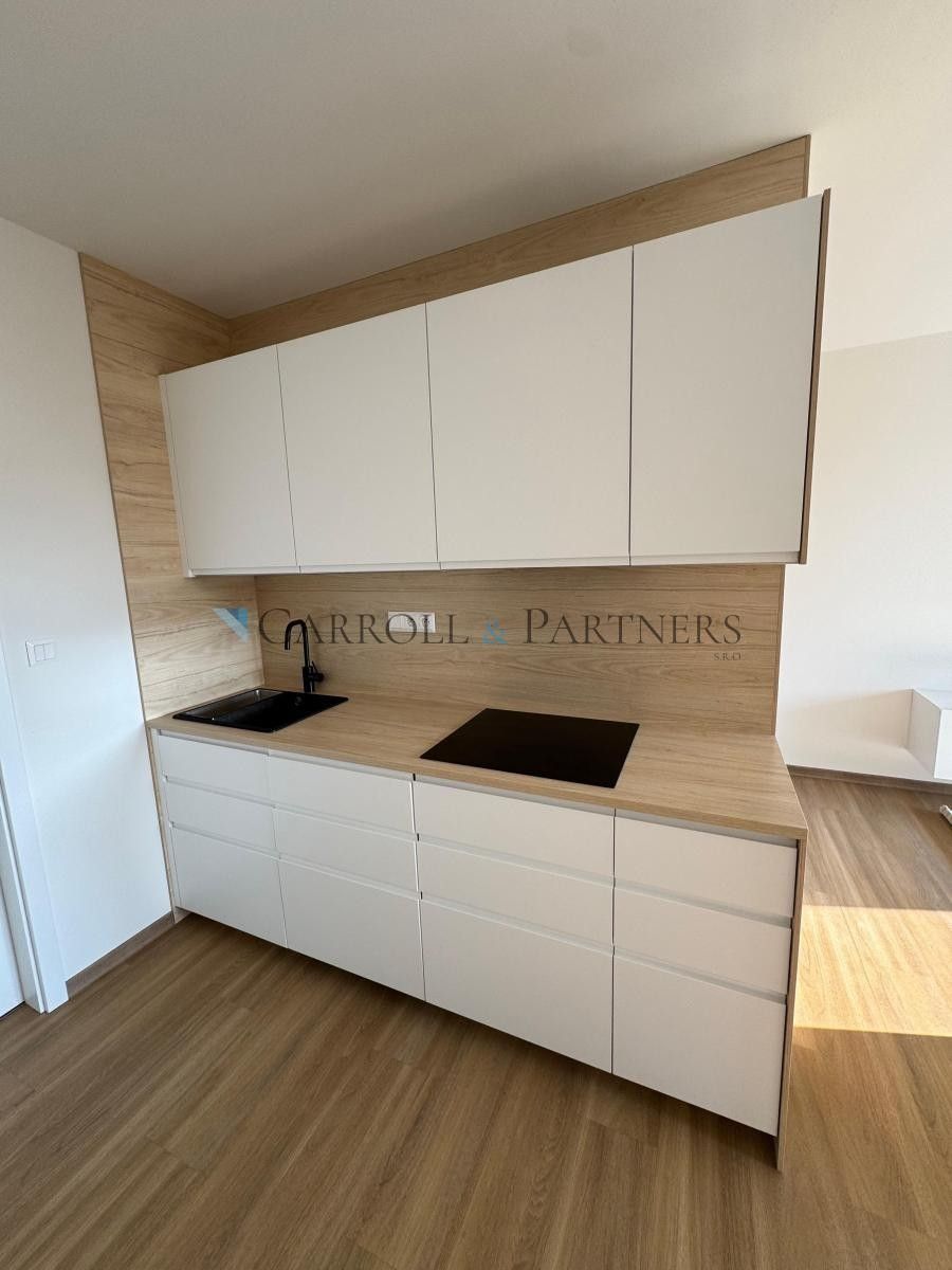 Pronájem bytu 1+kk 40 m² - foto 22