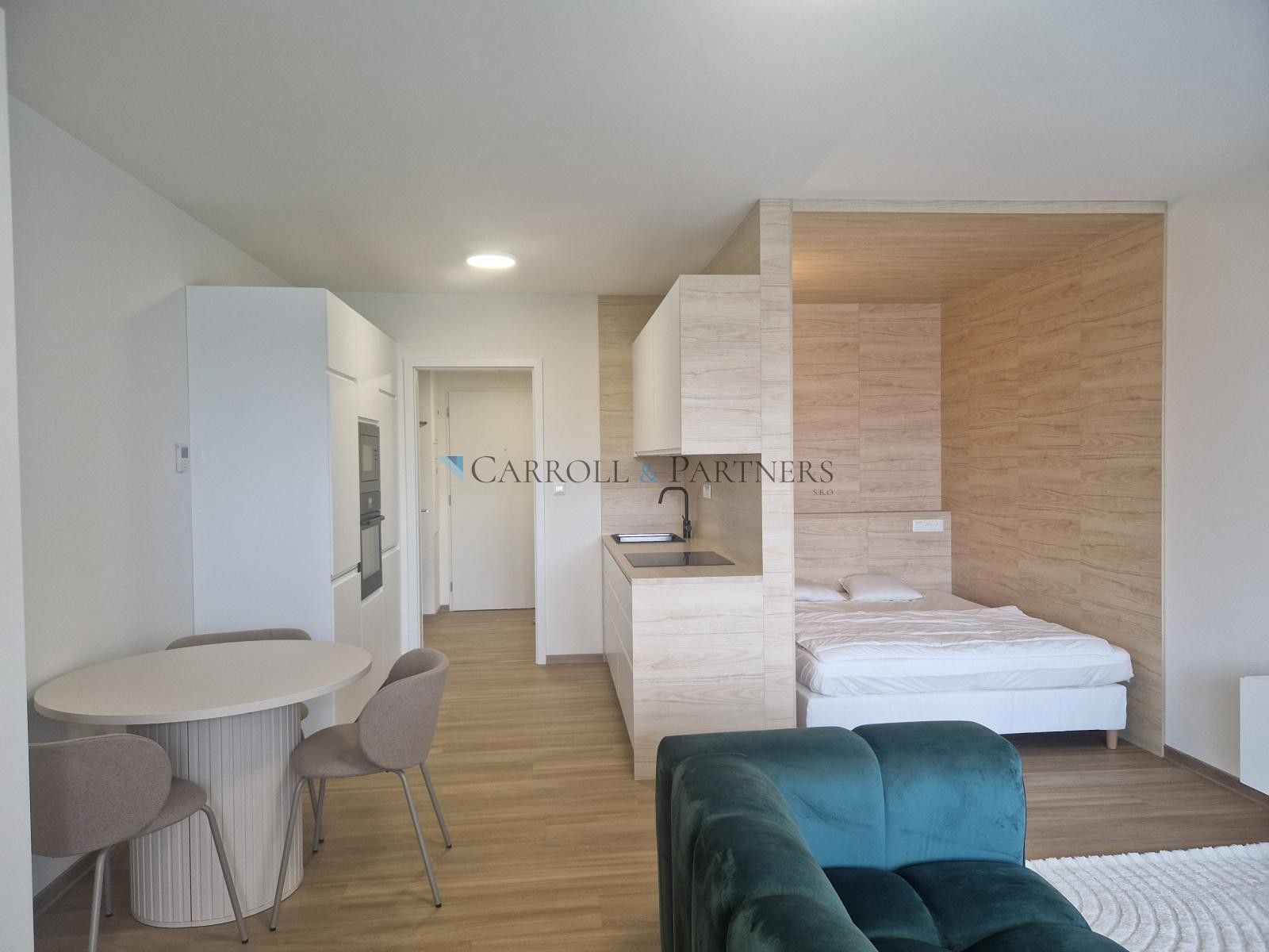 Pronájem bytu 1+kk 40 m² - foto 17