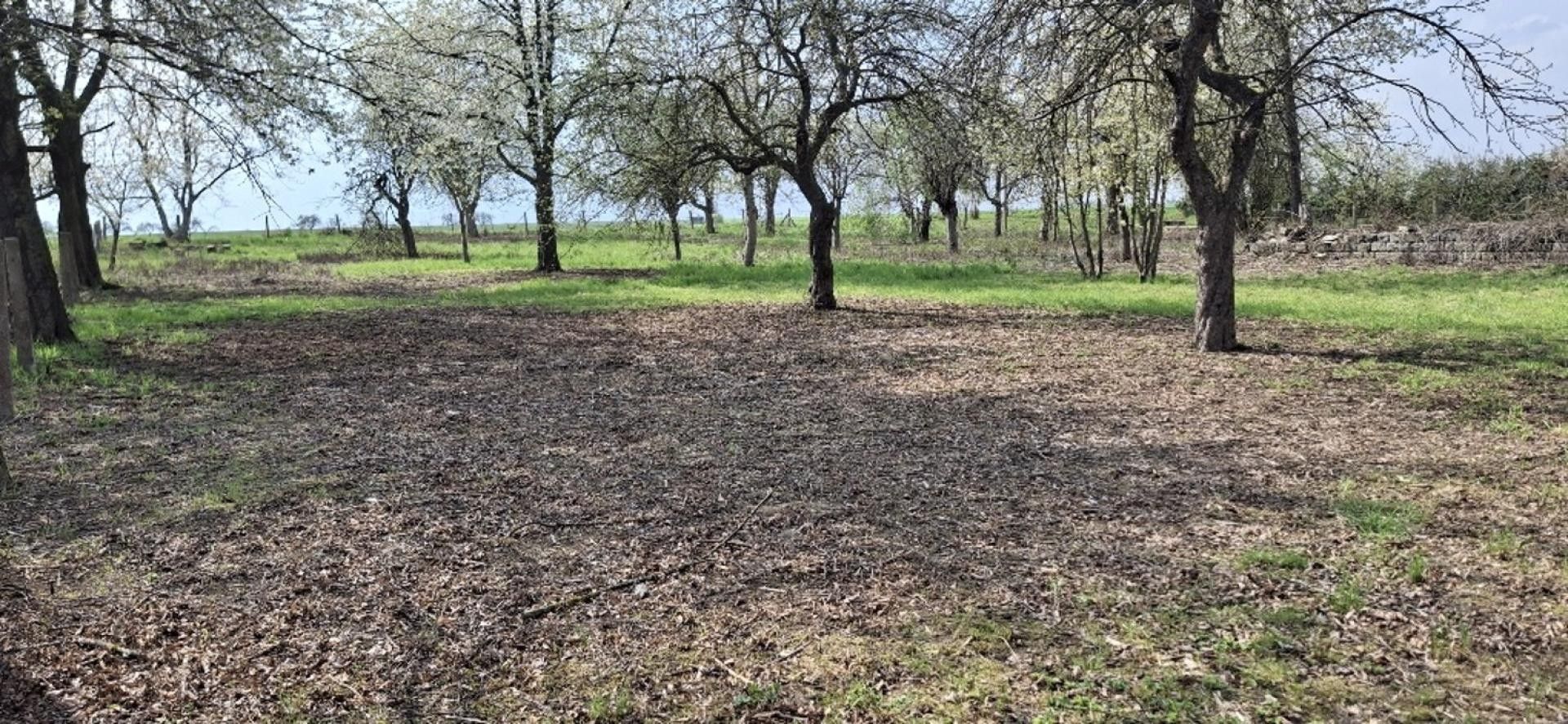 Prodej pozemku 871 m² - foto 6