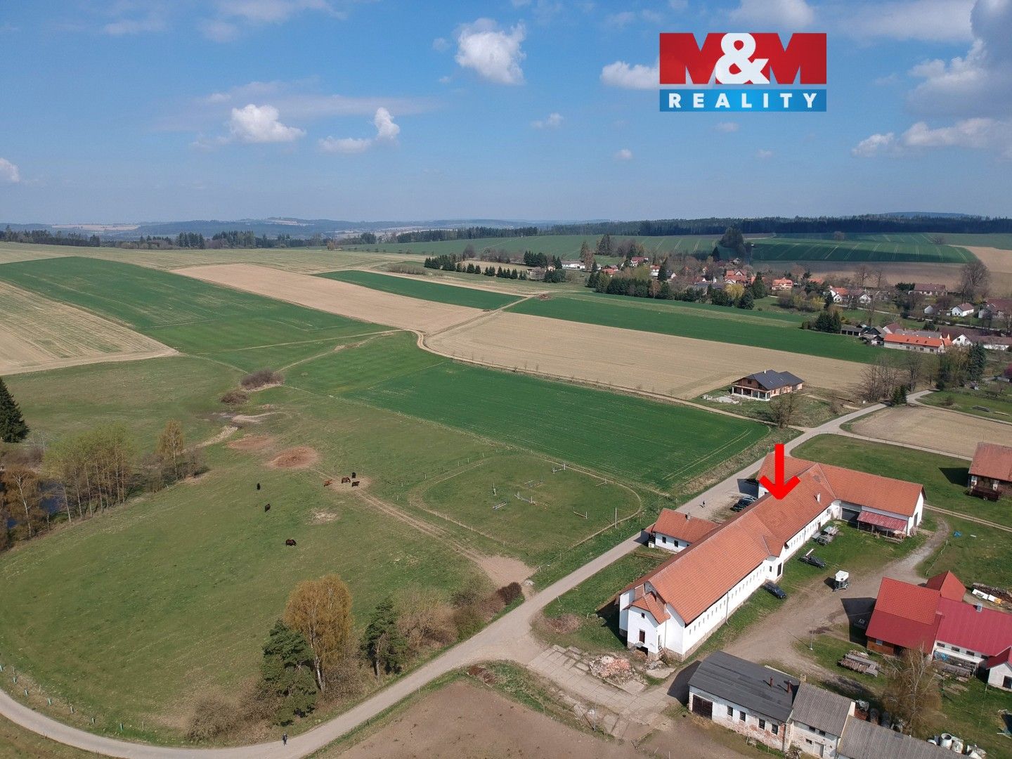 Prodej komerčního prostoru 1393 m² - foto 15