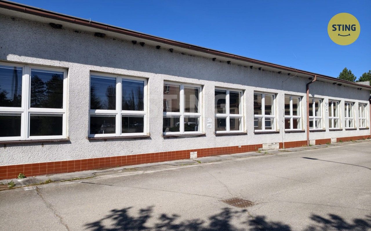 Pronájem komerčního prostoru 600 m² - foto 3