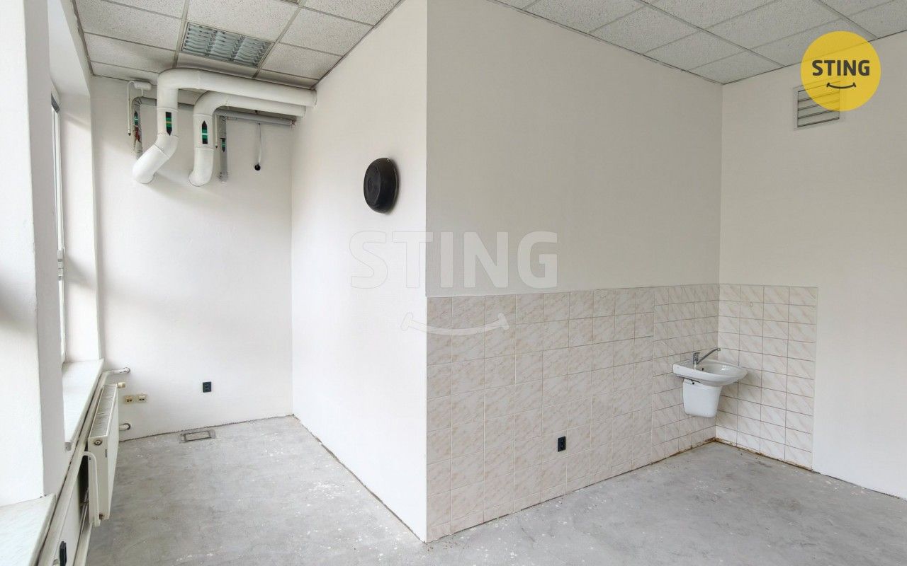 Pronájem komerčního prostoru 600 m² - foto 9