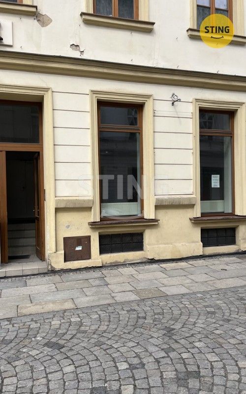 Pronájem komerčního prostoru 38 m² - foto 11