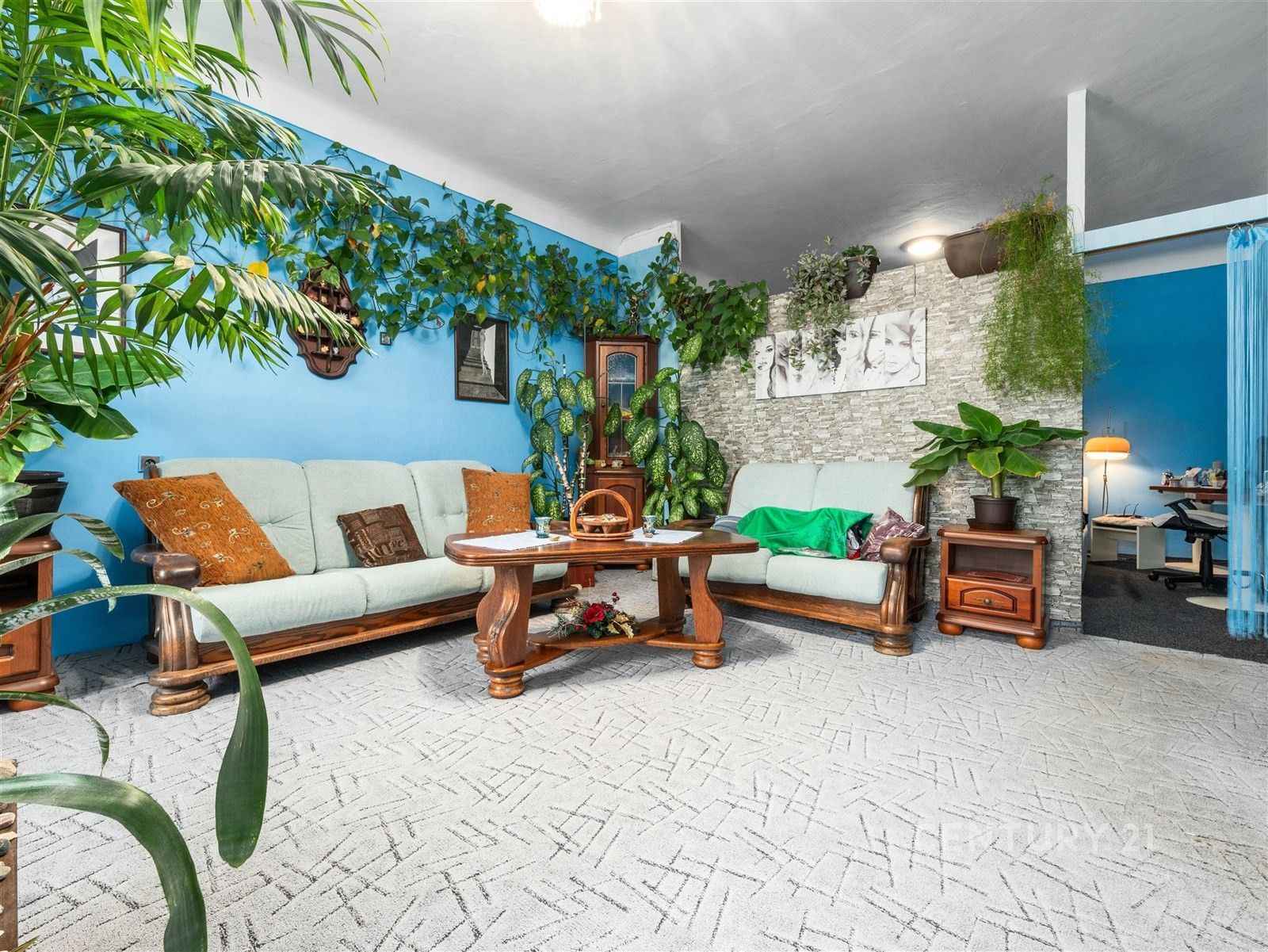 Prodej domu 800 m² - foto 5