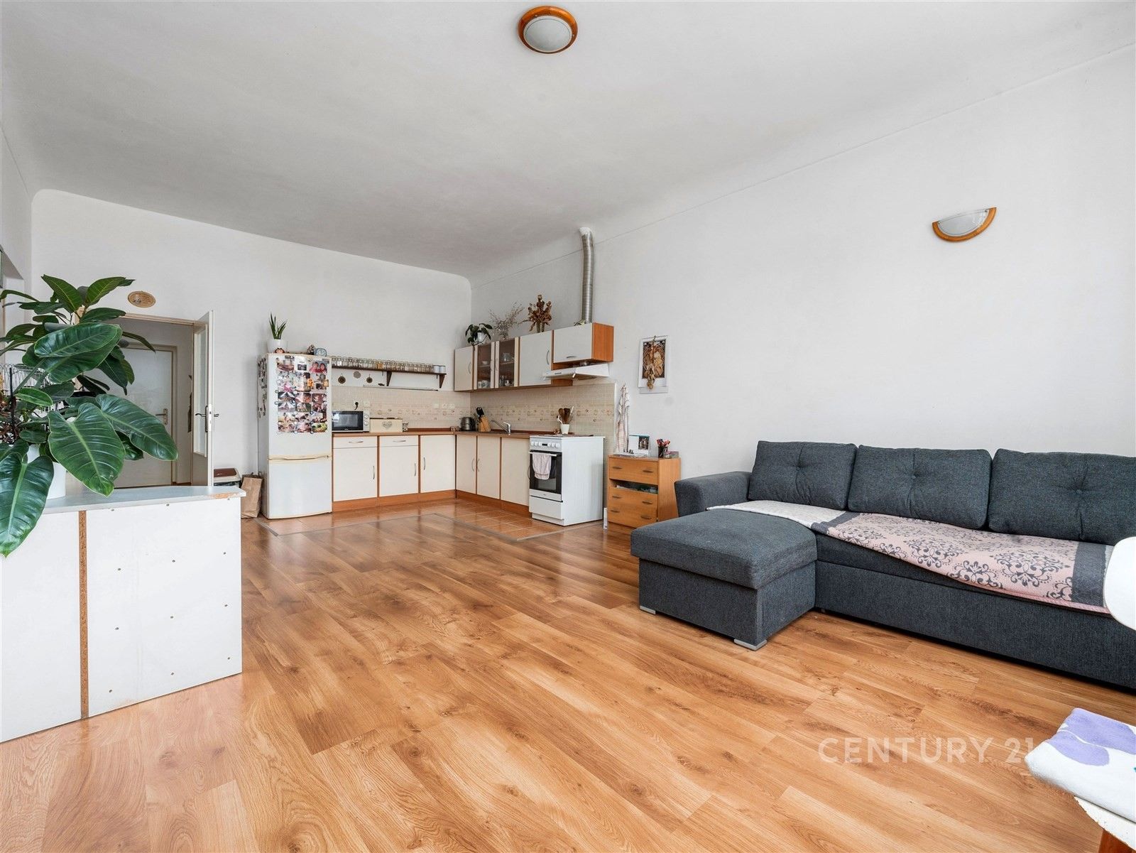 Prodej domu 800 m² - foto 15