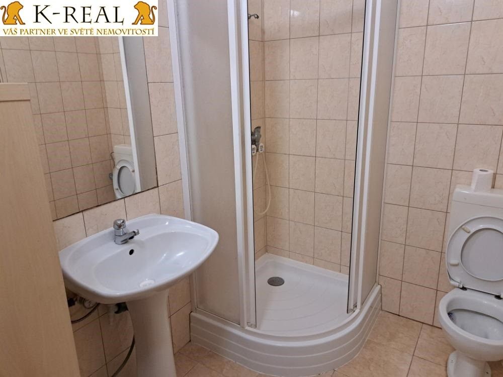 Pronájem bytu 1+kk 25 m² - foto 3
