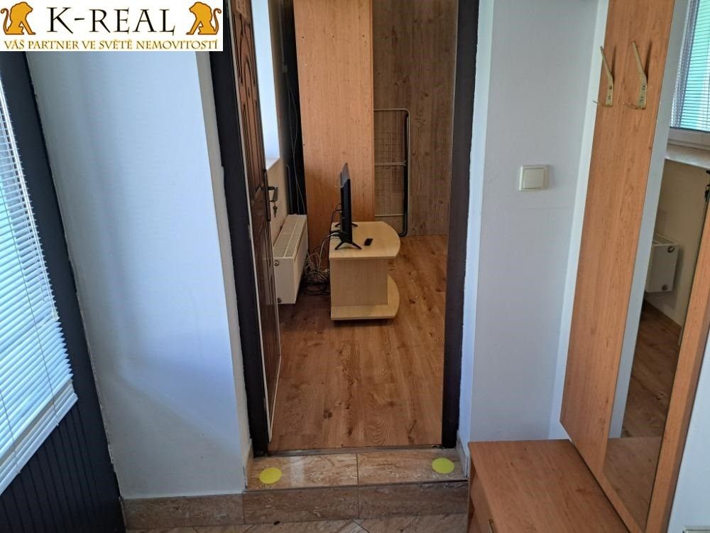 Pronájem bytu 1+kk 25 m² - foto 5