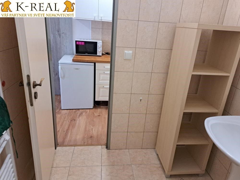 Pronájem bytu 1+kk 25 m² - foto 4