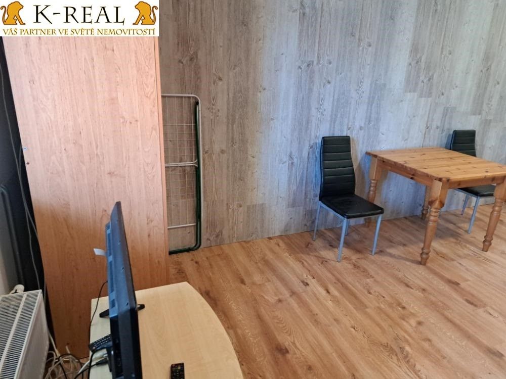 Pronájem bytu 1+kk 25 m² - foto 7