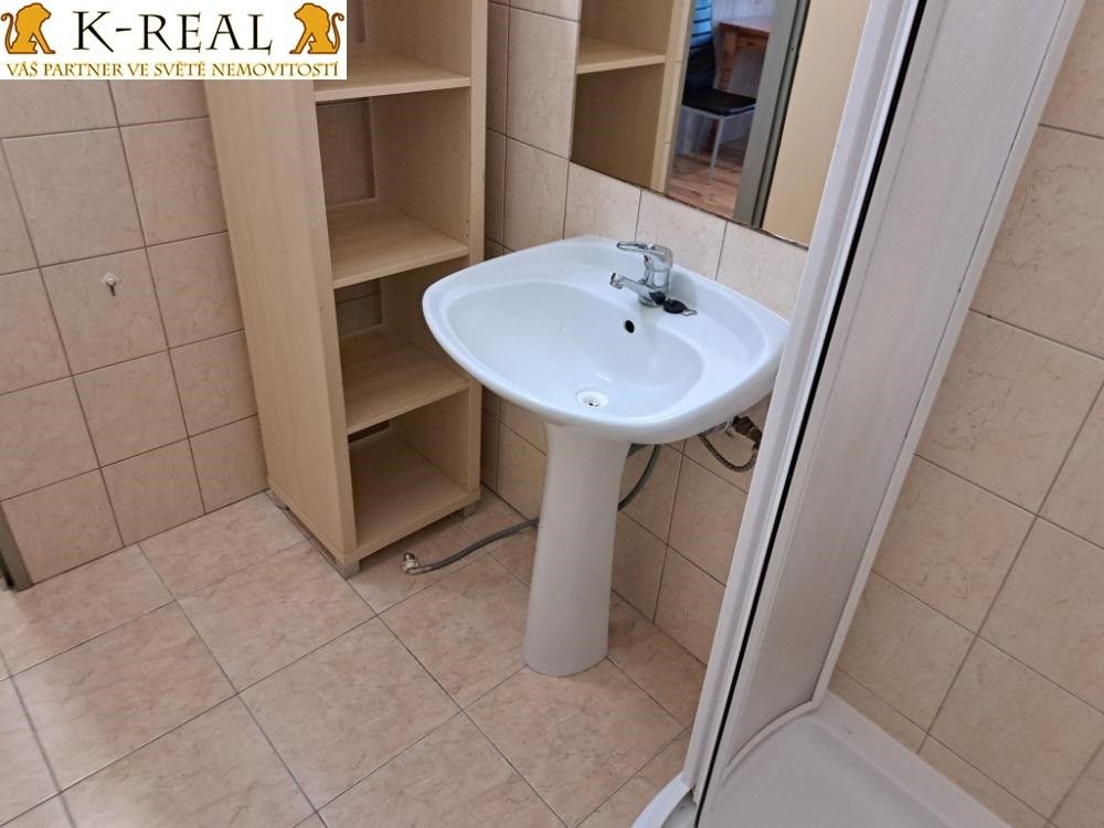 Pronájem bytu 1+kk 25 m² - foto 6