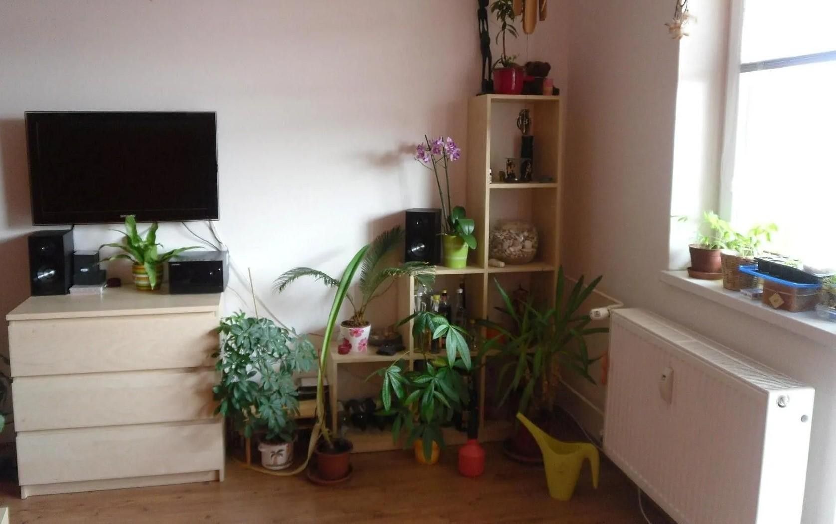 Prodej bytu 1+kk 33 m² - foto 4