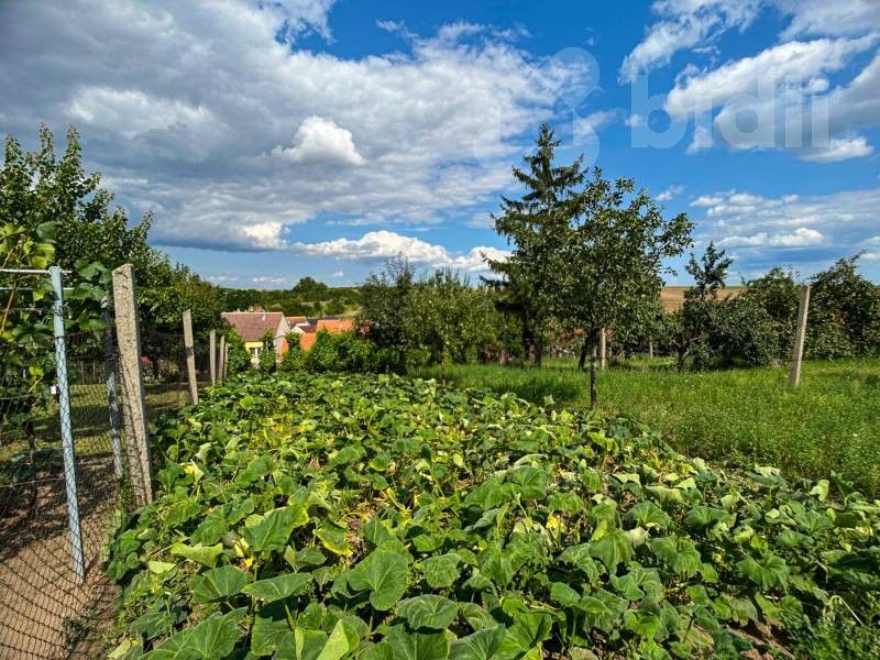 Prodej domu 270 m² - foto 15