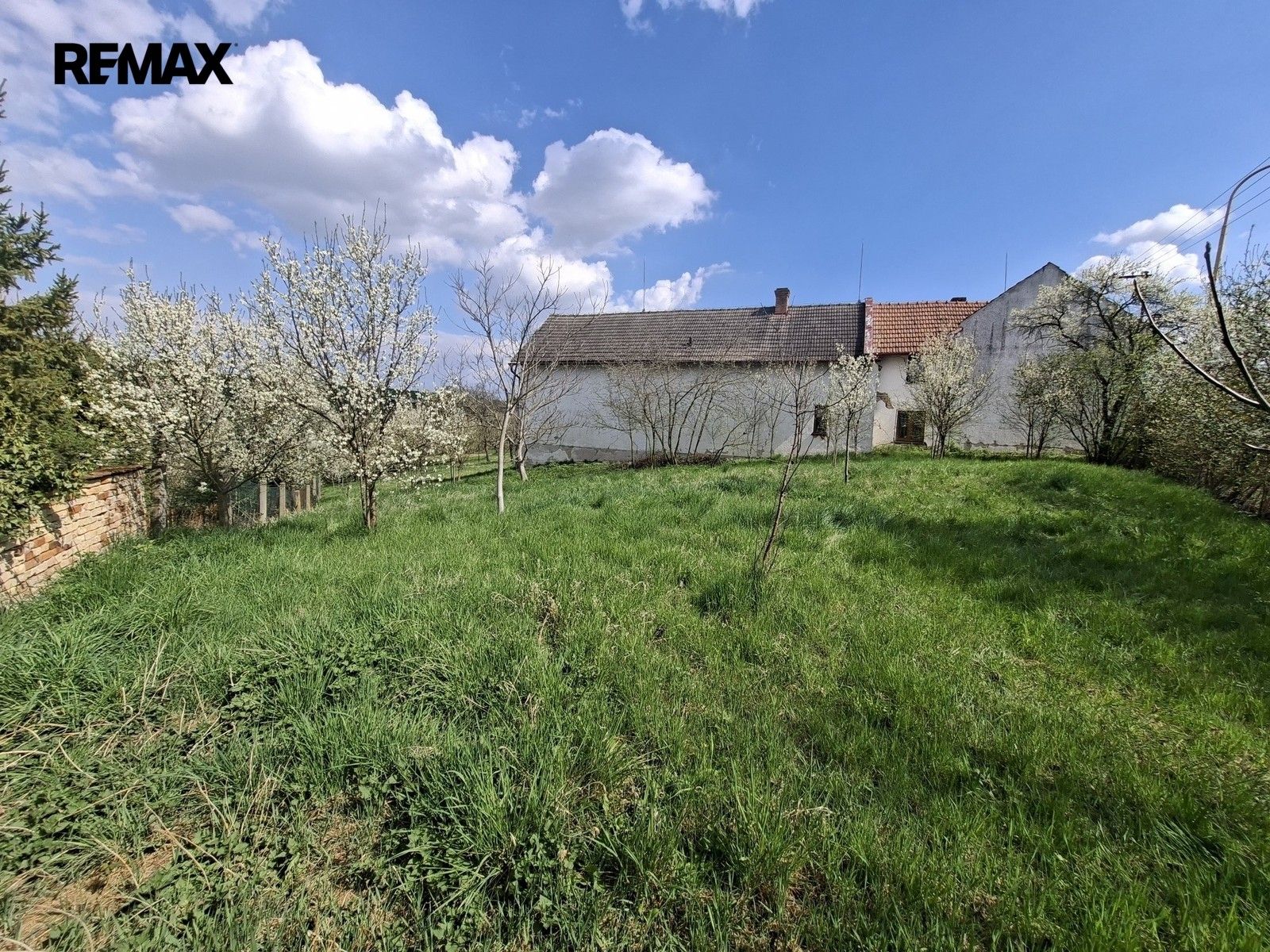 Prodej pozemku 842 m² - foto 5