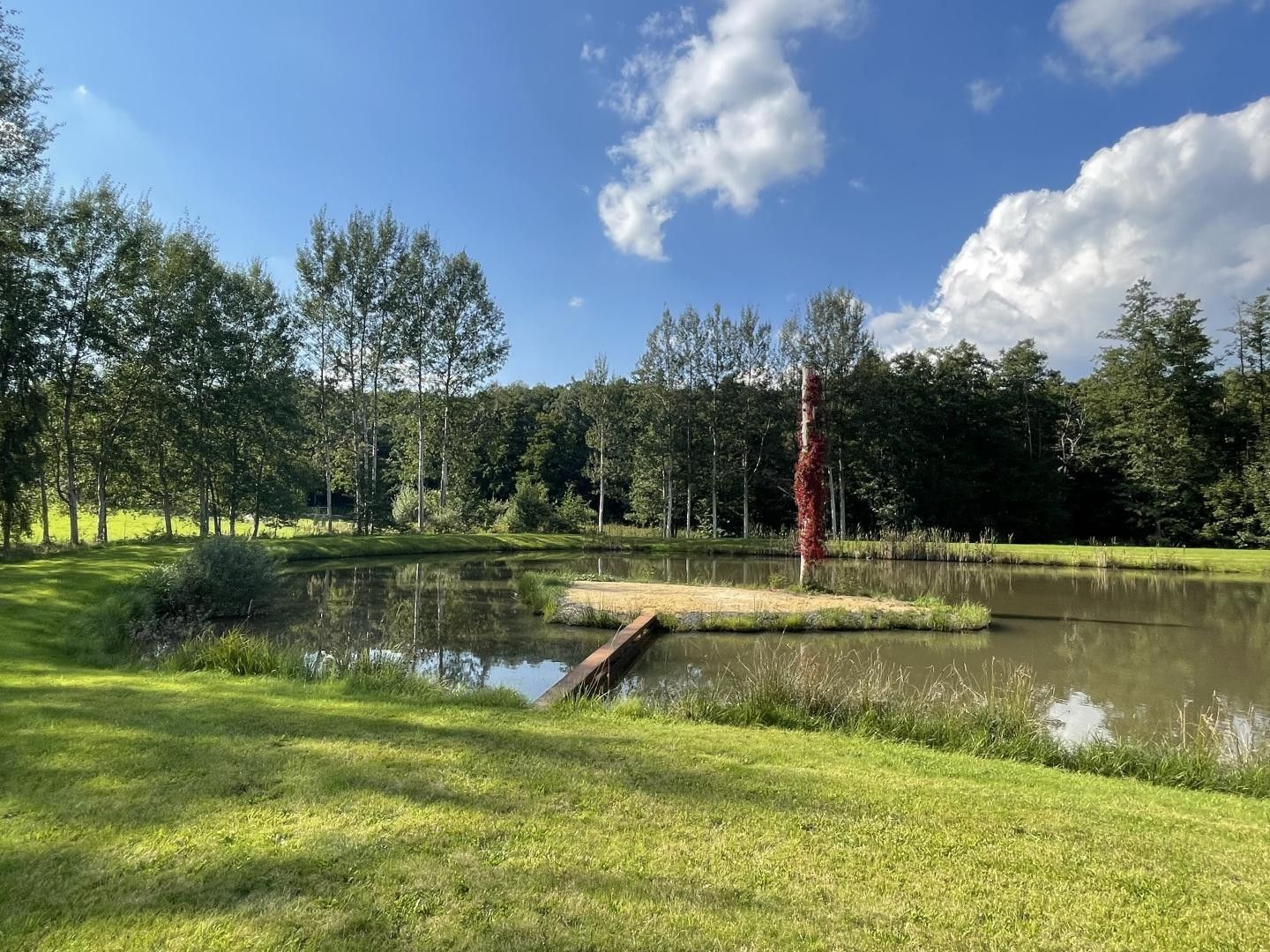 Prodej pozemku 9437 m² - foto 1