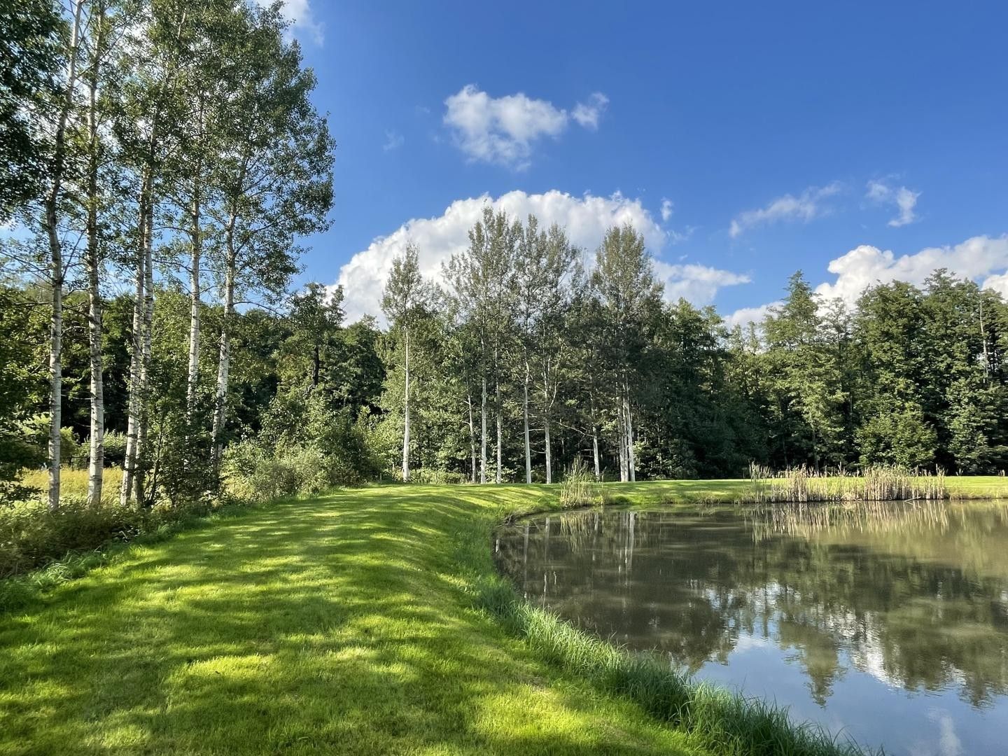 Prodej pozemku 9437 m² - foto 4