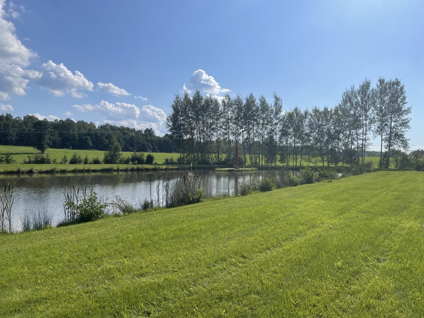 Prodej pozemku 9437 m² - foto 10