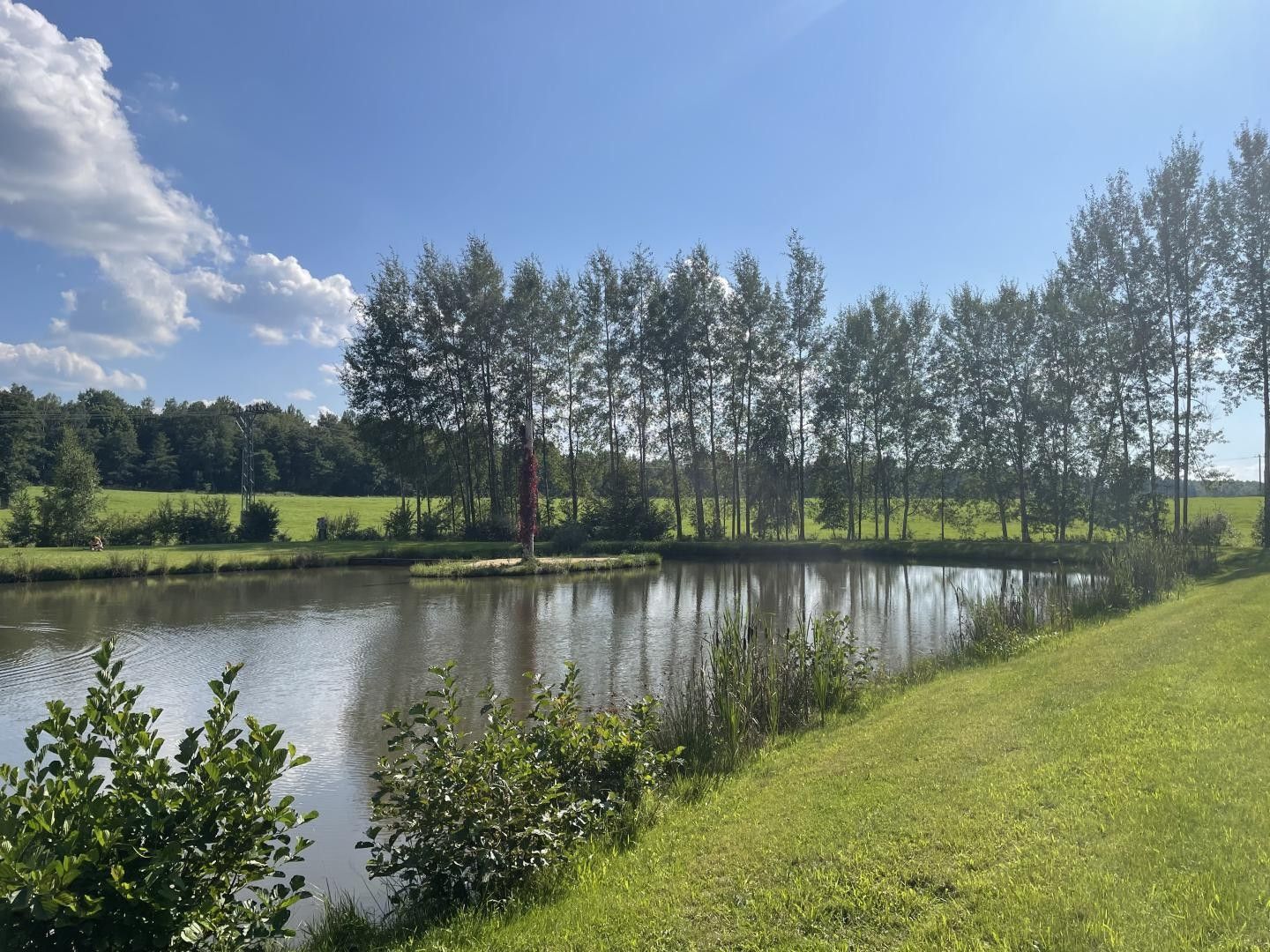 Prodej pozemku 9437 m² - foto 9