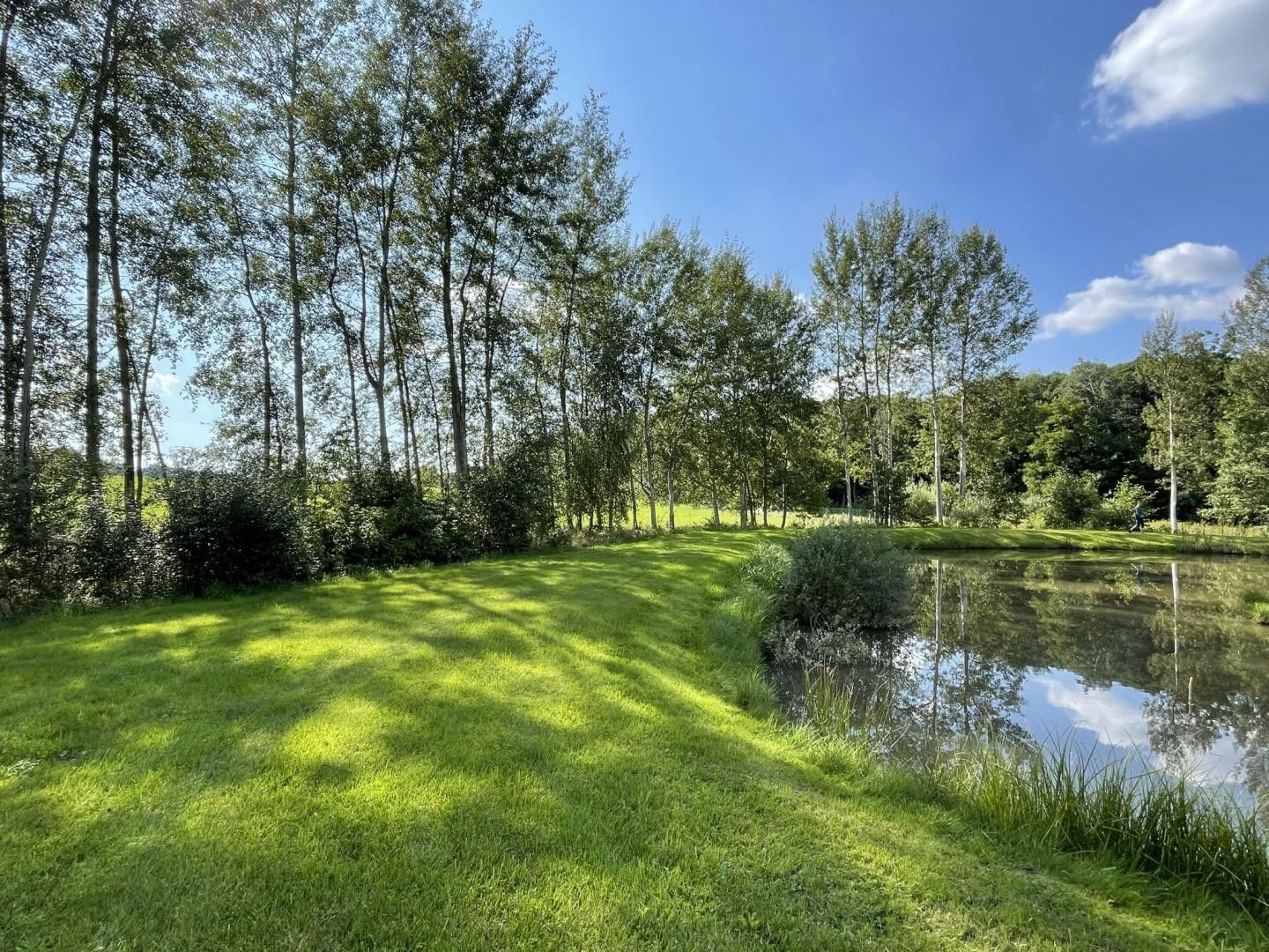 Prodej pozemku 9437 m² - foto 13