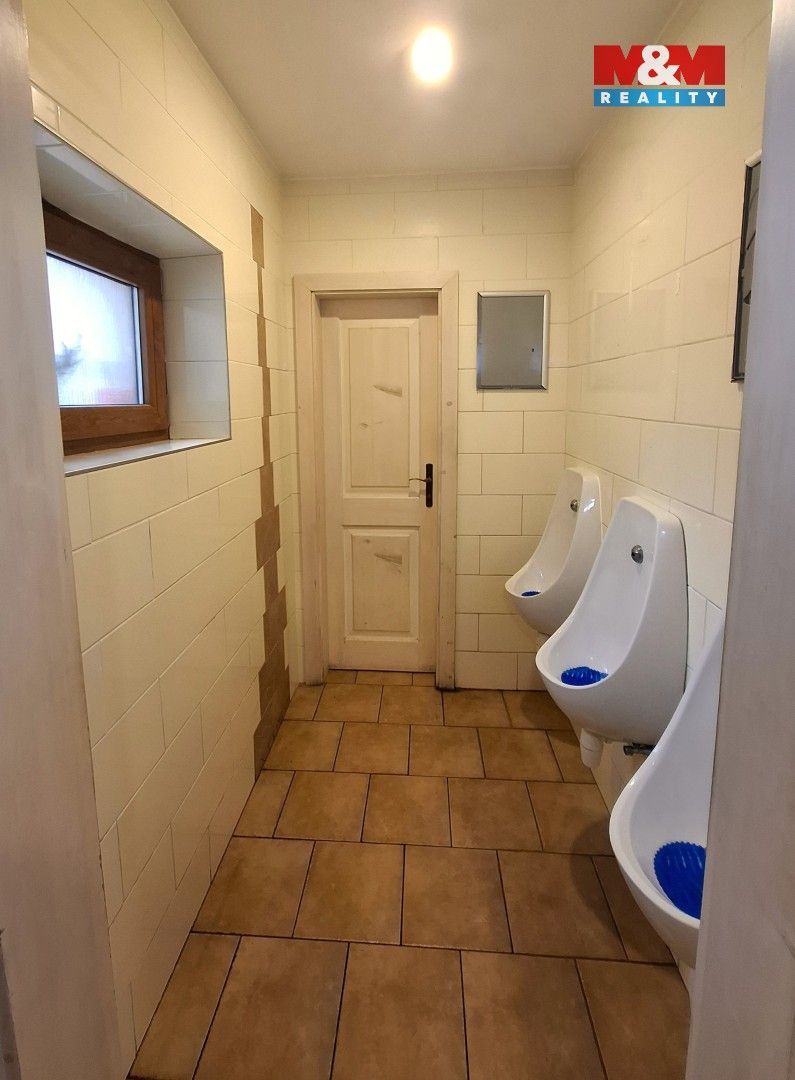 Pronájem komerčního prostoru 220 m² - foto 15