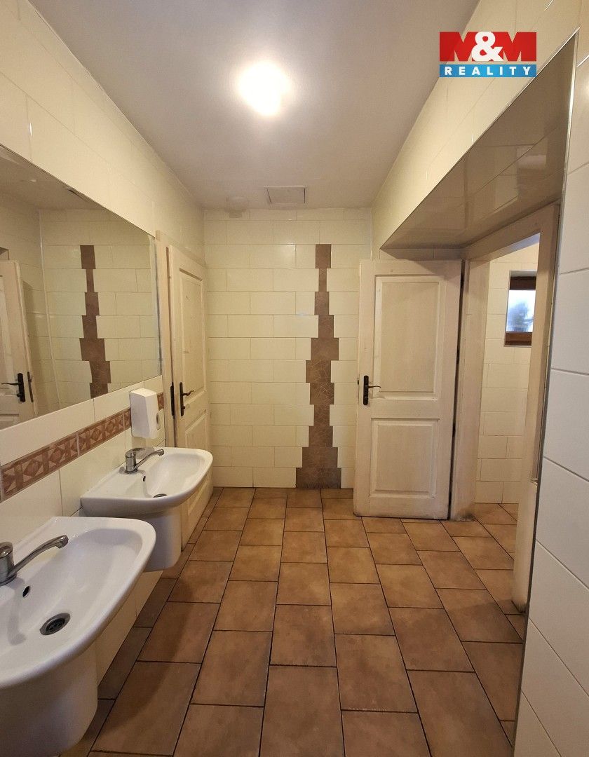 Pronájem komerčního prostoru 220 m² - foto 14