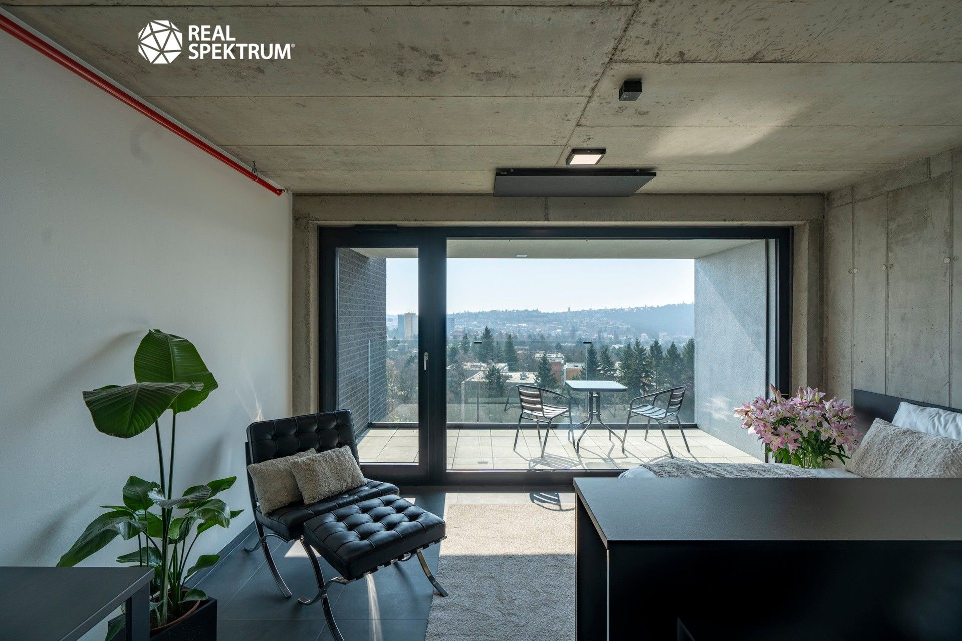 Pronájem bytu 1+kk 31 m² - foto 5