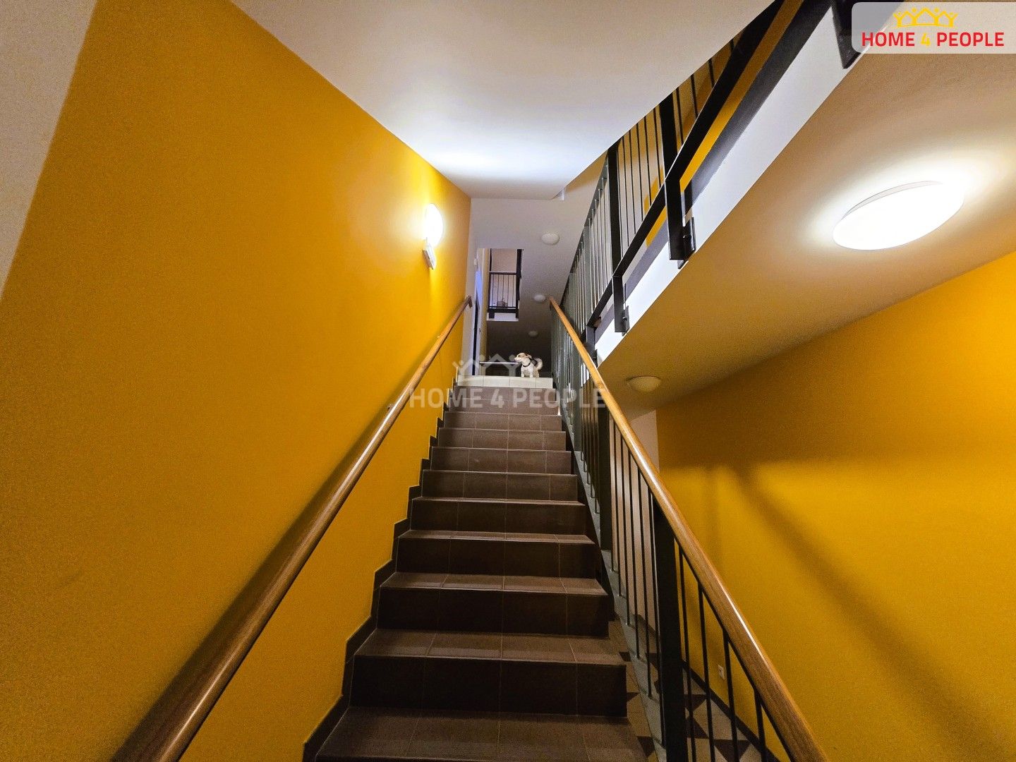 Prodej bytu 2+kk 65 m² - foto 4
