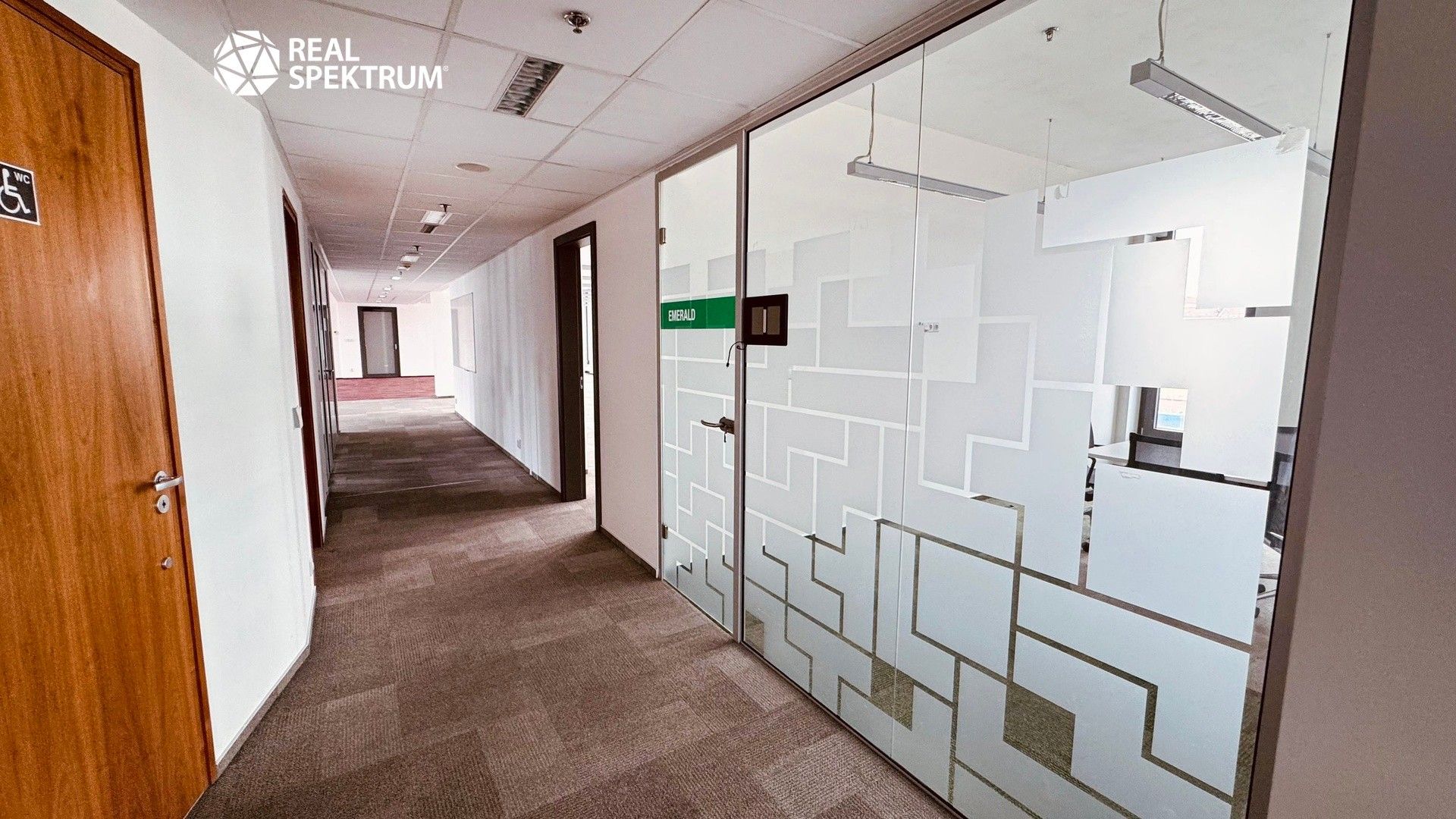 Pronájem komerčního prostoru 374 m² - foto 18