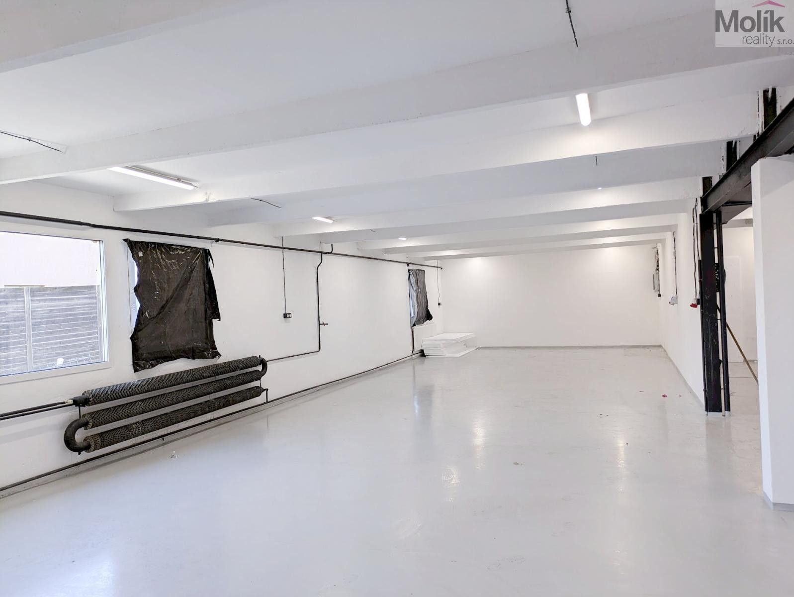 Pronájem komerčního prostoru 198 m² - foto 8