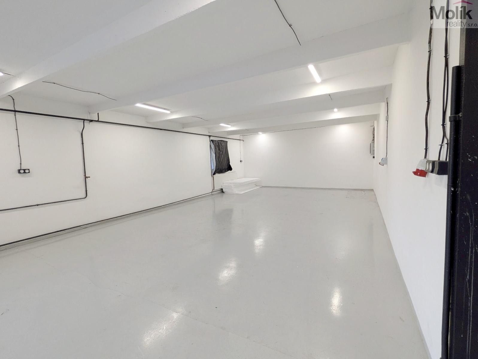 Pronájem komerčního prostoru 198 m² - foto 9