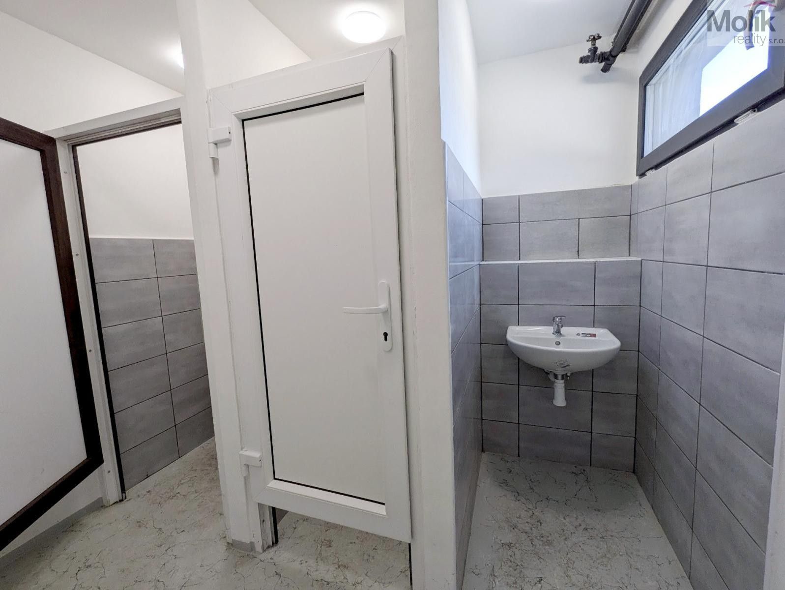 Pronájem komerčního prostoru 198 m² - foto 12