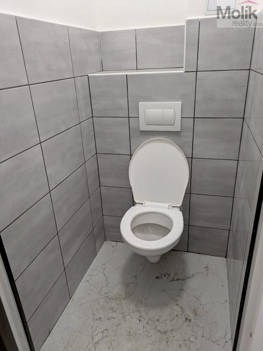 Pronájem komerčního prostoru 198 m² - foto 13