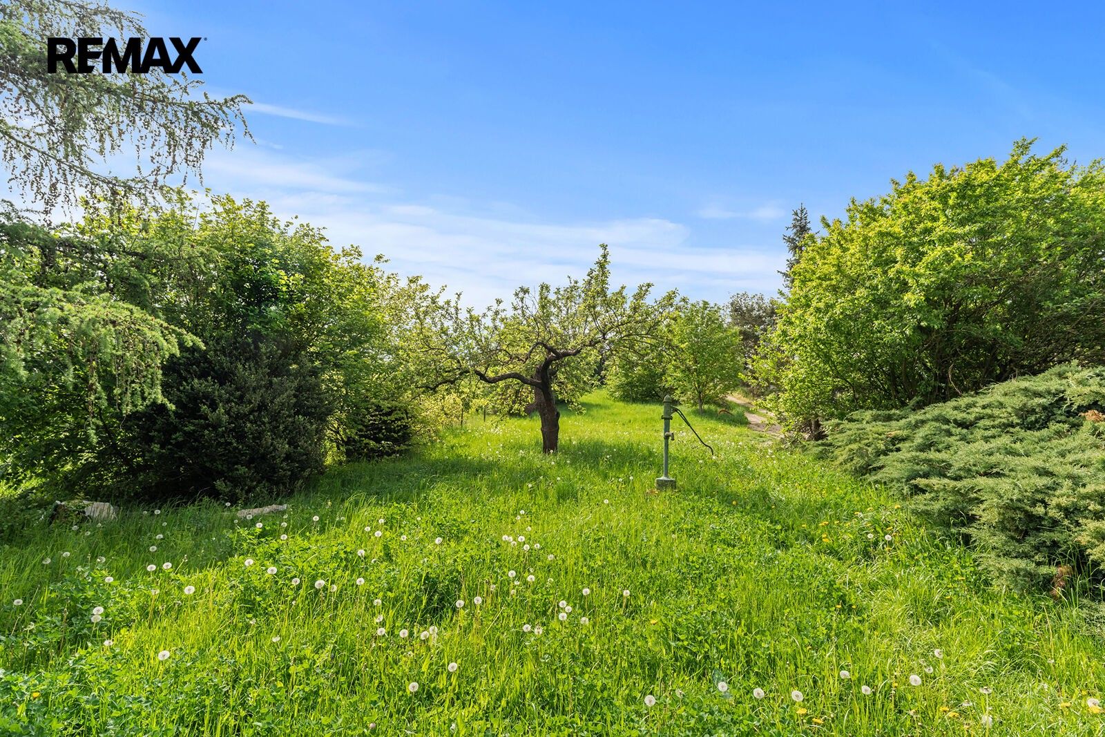 Prodej pozemku 950 m² - foto 9