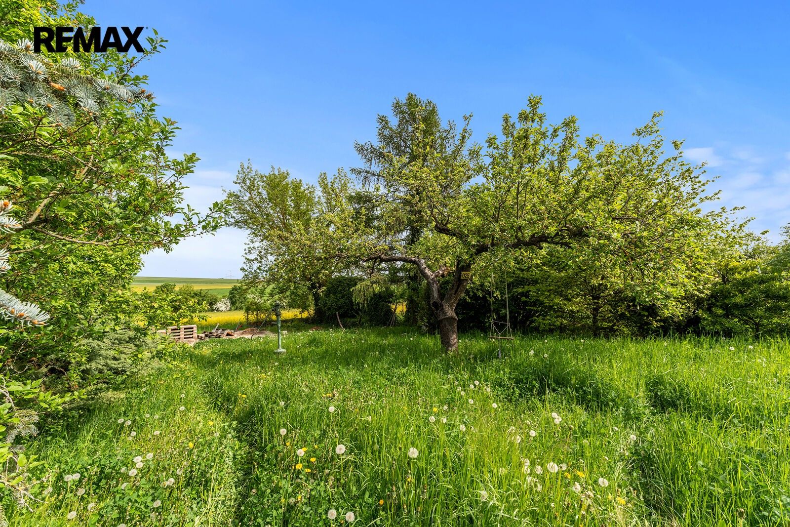 Prodej pozemku 950 m² - foto 11