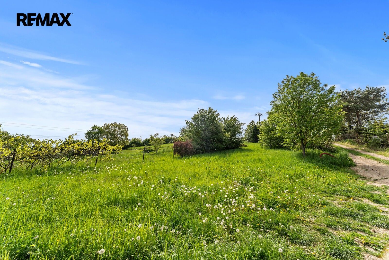 Prodej pozemku 950 m² - foto 12
