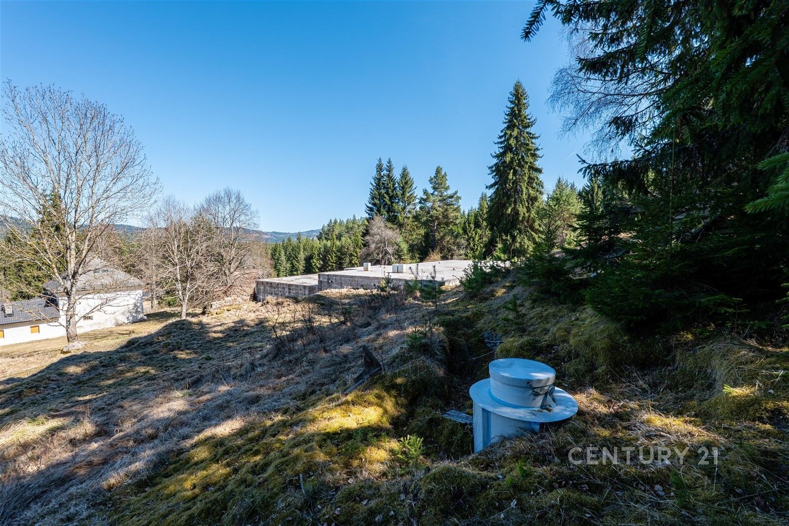 Prodej pozemku 10137 m² - foto 6