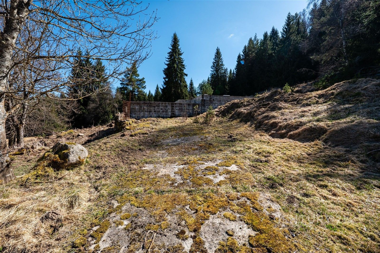 Prodej pozemku 10137 m² - foto 10