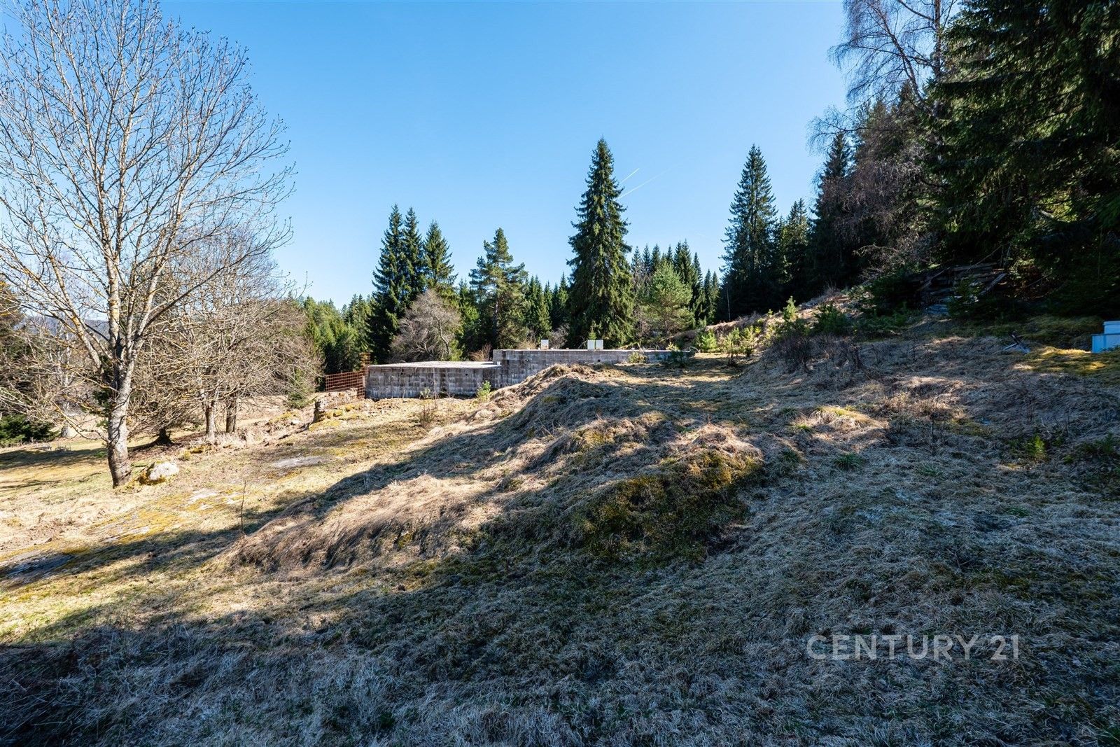 Prodej pozemku 10137 m² - foto 12